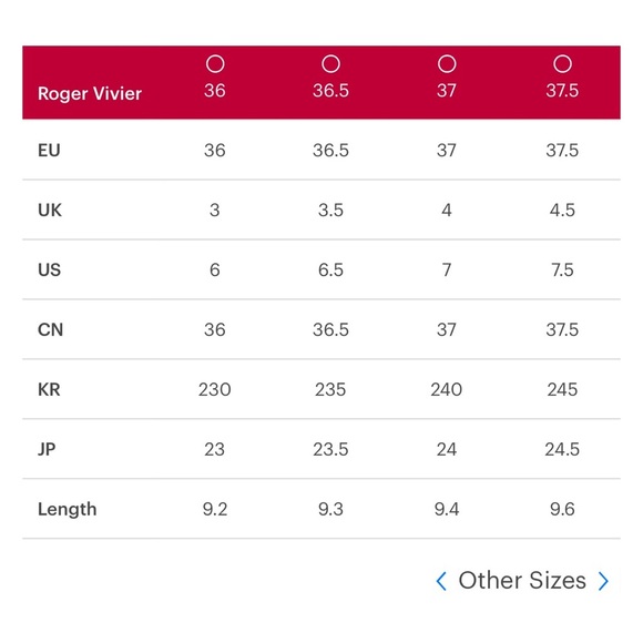 Roger Vivier Ballerinas - Picture 6 of 6